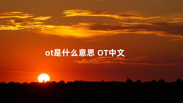 ot是什么意思 OT中文